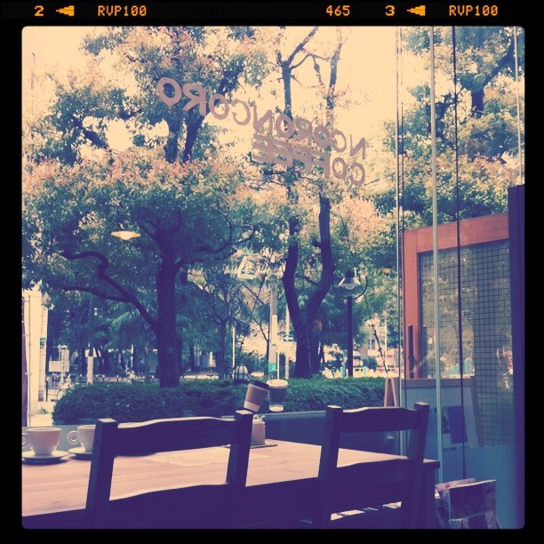 南大江公園そばのコーヒーショップからの眺め