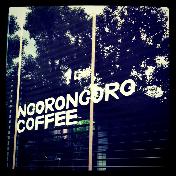 NGORONGORO COFFEE
